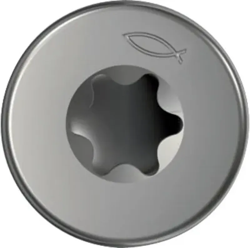 Logo Schraubenkopf fischer® TORX® Antrieb